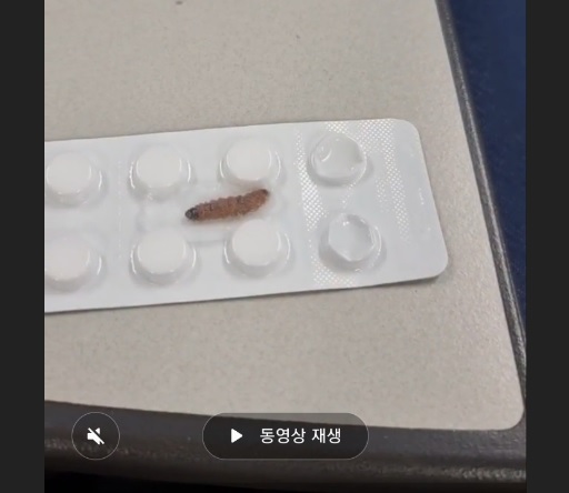 대구에 거주하는 A씨가 본지에 제보한 동영상 사진. 이 동영상에서는 고혈압치료제 ‘노바스크’ 제품 내에서 살아 움직이는 벌레가 육안으로 확인된다.