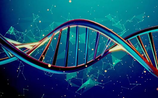 정크 DNA에서 태어난 유전자인 드노보(de novo) 유전자는 단백질을 만드는 능력을 획득하는 것으로 확인됐다. /사진=라이브사이언스